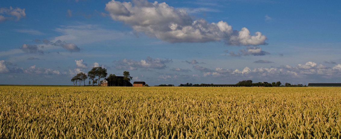 Het Hogeland Landgoed Wilgenheerd